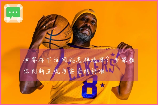 世界杯下注网站怎样选择？专家教你判断正规与安全的标准