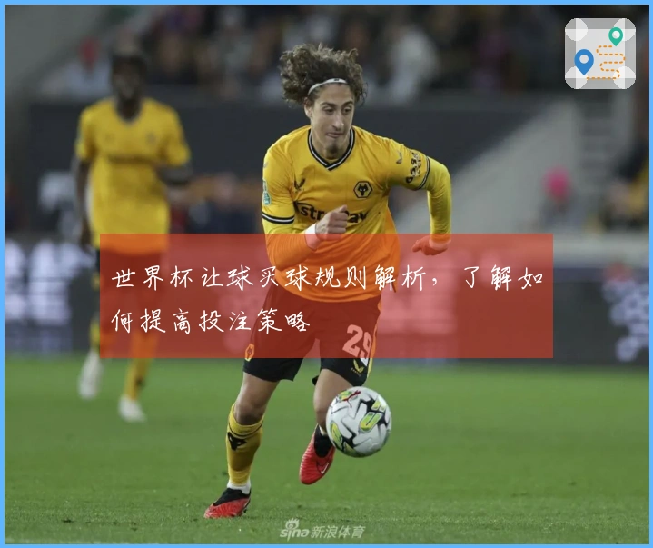 世界杯让球买球规则解析，了解如何提高投注策略