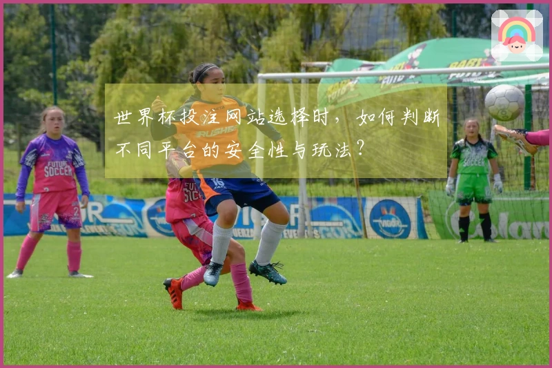 世界杯投注网站选择时，如何判断不同平台的安全性与玩法？