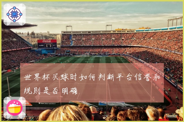 世界杯买球时如何判断平台信誉和规则是否明确