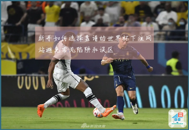 新手如何选择靠谱的世界杯下注网站避免常见陷阱和误区