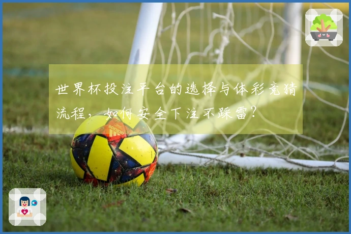世界杯投注平台的选择与体彩竞猜流程，如何安全下注不踩雷？