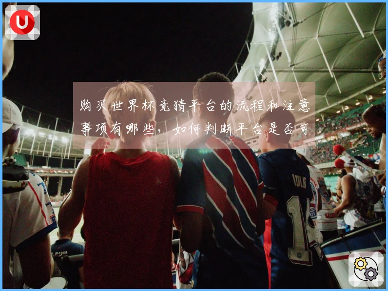 购买世界杯竞猜平台的流程和注意事项有哪些，如何判断平台是否可靠