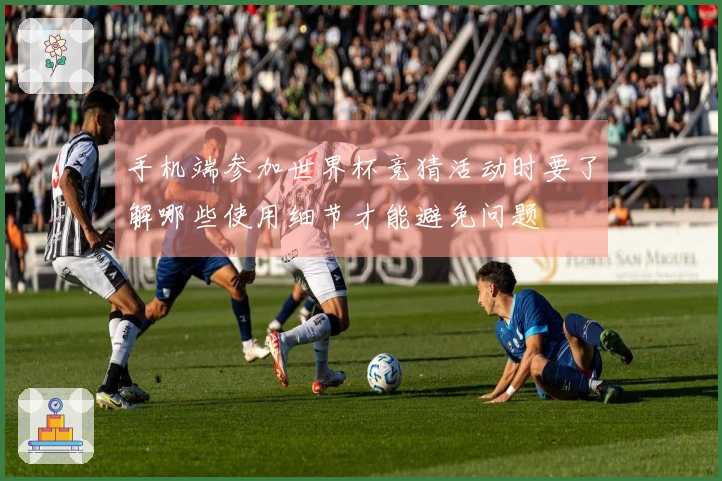 手机端参加世界杯竞猜活动时要了解哪些使用细节才能避免问题