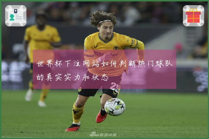 世界杯下注网站如何判断热门球队的真实实力和状态
