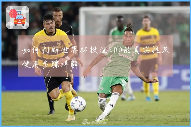如何判断世界杯投注app的真实性及使用步骤详解