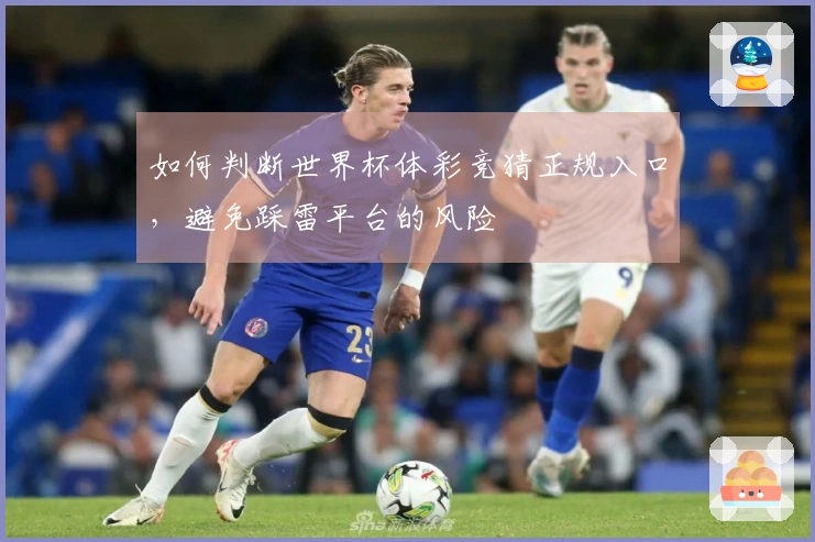如何判断世界杯体彩竞猜正规入口，避免踩雷平台的风险