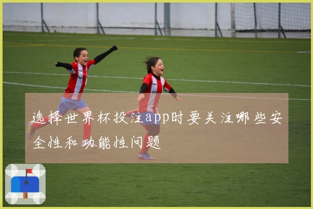 选择世界杯投注app时要关注哪些安全性和功能性问题