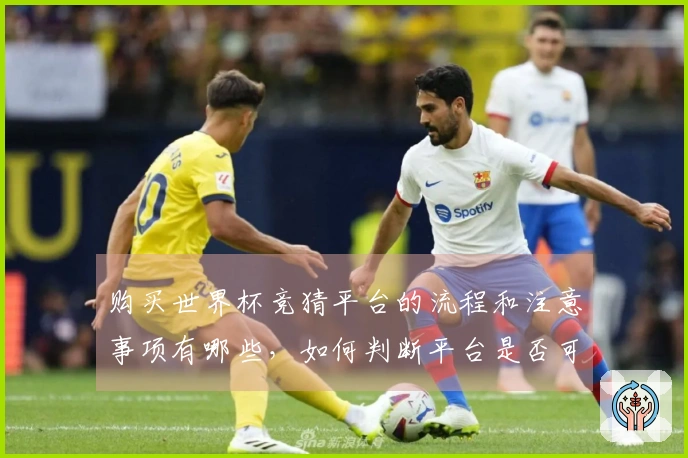 购买世界杯竞猜平台的流程和注意事项有哪些，如何判断平台是否可靠