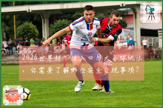 2026世界杯下注入口与大小球玩法，你需要了解哪些安全合规事项？