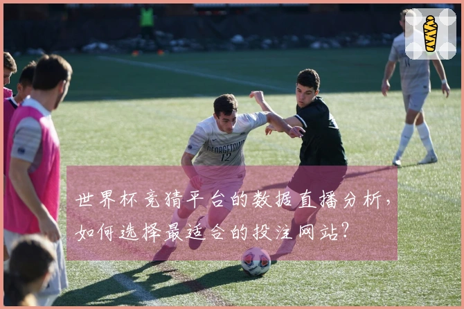 世界杯竞猜平台的数据直播分析，如何选择最适合的投注网站？