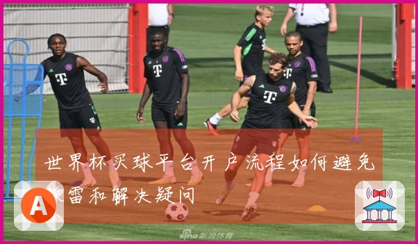 世界杯买球平台开户流程如何避免踩雷和解决疑问