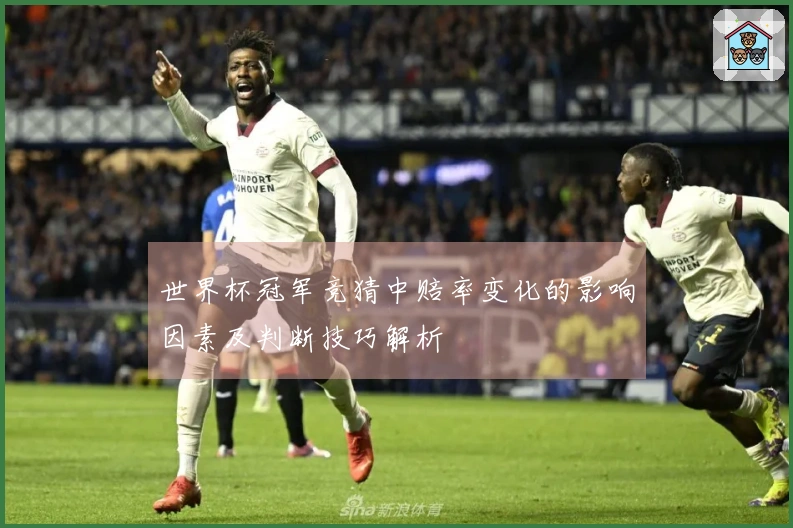 世界杯冠军竞猜中赔率变化的影响因素及判断技巧解析
