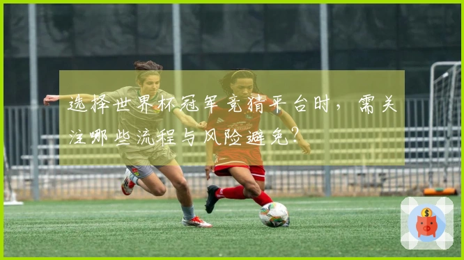 选择世界杯冠军竞猜平台时，需关注哪些流程与风险避免？