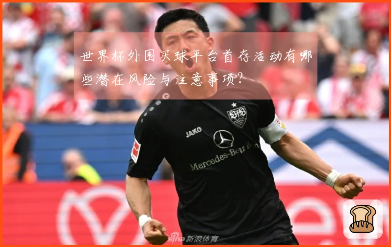 世界杯外围买球平台首存活动有哪些潜在风险与注意事项？