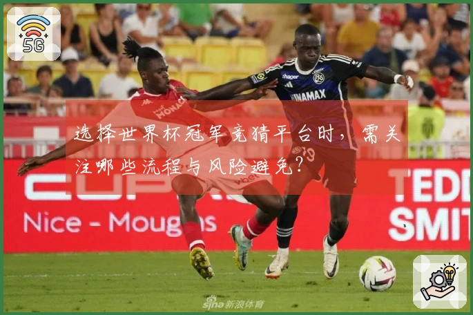 选择世界杯冠军竞猜平台时，需关注哪些流程与风险避免？