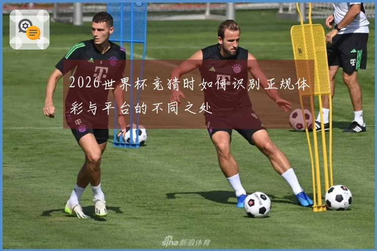 2026世界杯竞猜时如何识别正规体彩与平台的不同之处