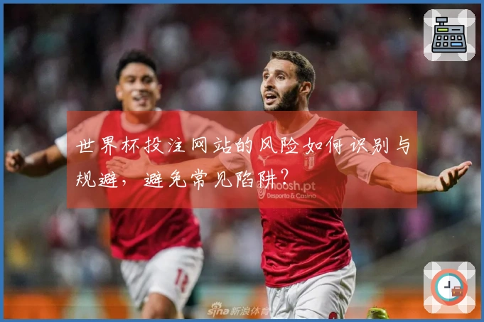 世界杯投注网站的风险如何识别与规避，避免常见陷阱？