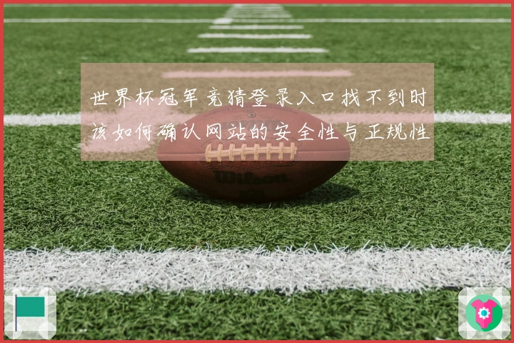 世界杯冠军竞猜登录入口找不到时该如何确认网站的安全性与正规性