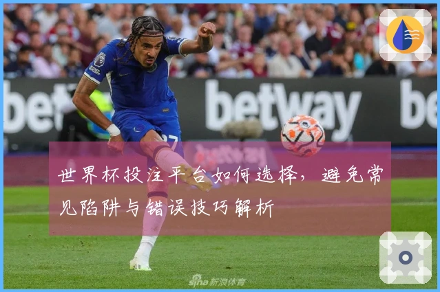 世界杯投注平台如何选择，避免常见陷阱与错误技巧解析