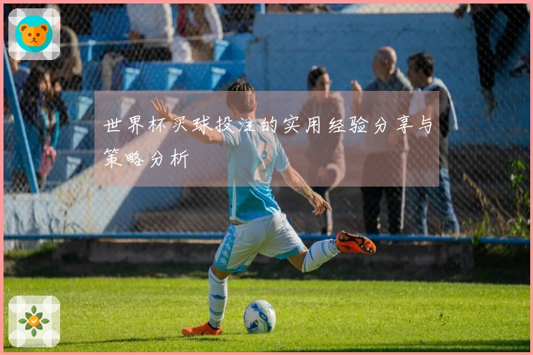 世界杯买球投注的实用经验分享与策略分析